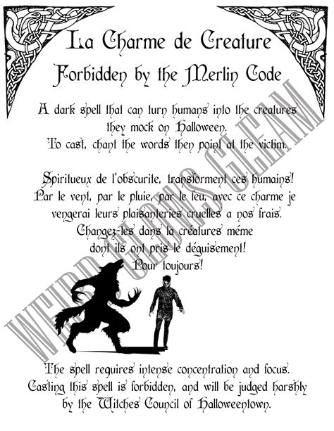 Exploring the Forbidden Forest: Creature Studies at Halloweentown's Magic Academy
